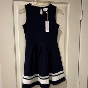 BCBG Elegant Navy Dress with White Stripes